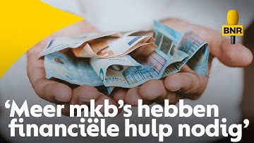 Economie groeit, maar meer kleine bedrijven vragen financiële hulp | Edin Mujagiç