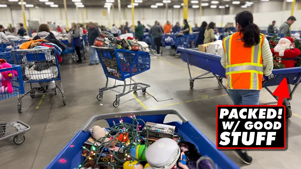 РОЖДЕСТВЕНСКОЕ ЧУДО! Я нашёл подарки на 100 долларов за копейки в The Bins!