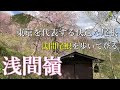 【秋川エリア】浅間嶺 浅間尾根登山口バス停から払沢の滝入口バス停へ 本当に素晴らしく快適なトレイルです。 ＃登山 ＃トレッキング ＃ハイキング ＃小岩浅間 ＃払子の滝