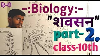 Biology class10th (2.)श्वसन- part-2 ll Bihar board study ll, biology sawashan chapter 2 class10th
