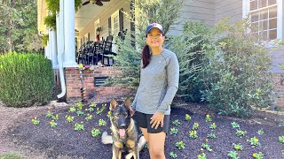 How To Prep Your Beds for Successful Fall Annuals | Gardening with Creekside