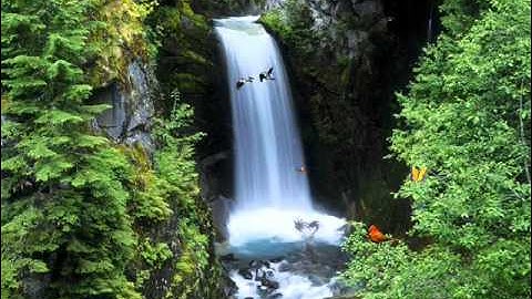 الشيخ سعد الغامدي || سورة النازعات !!