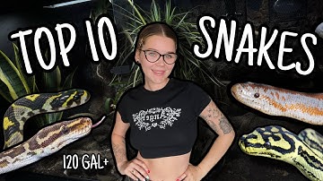 TOP 10 SNAKES For a 4ft Enclosure!.. (120 Gal)