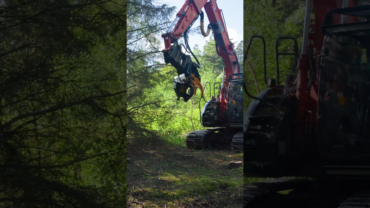 TMK 300 Next Gen is our strongest Tree Shear yet