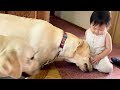 犬の幼稚園から帰って来て先生から報告を受ける