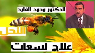 لسعات النحل علاج فعال لجميع الامراض  -الدكتور محمد الفايد
