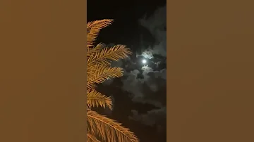 يامن أراقبه والوصل م نقطع كي ف السبيل إلى إعلان أشواقي 