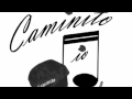 WILD SENSATION BY CAMINITO