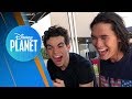 Descendentes REAGINDO à PLANETEADA | Disney Planet News #53