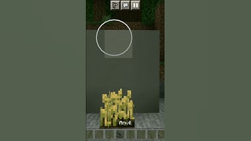 breaking minecraft logic that makes no sense