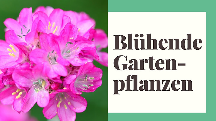 Welche blumen blühen im mai im garten