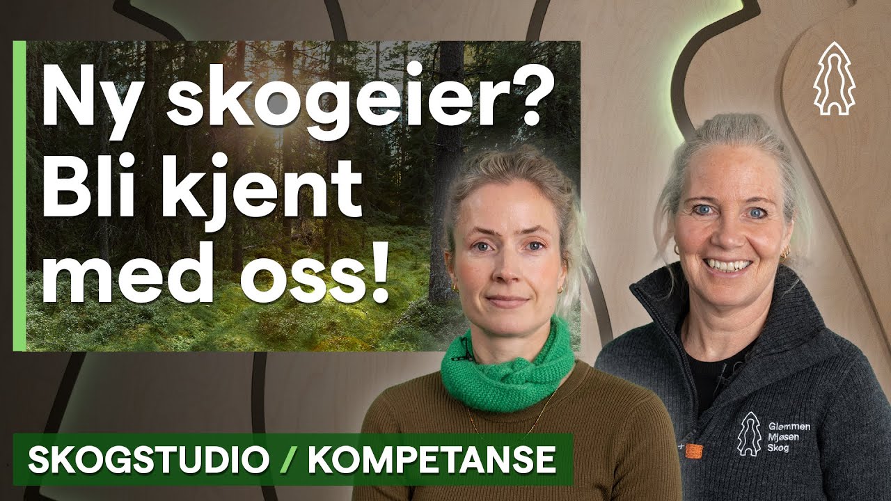 Ny skogeier? Bli kjent med Glommen Mjøsen Skog – Skogstudio kompetanse