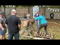 Logsawing contest at greenwood lake oktoberfest event oct 1516 2022