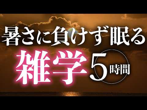 【睡眠導入】暑さに負けず眠る雑学5時間【合成音声】