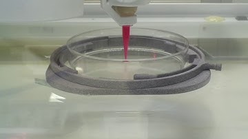 Printing line pattern with Pneuma Too