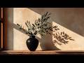 Olive Branch Still Life with Soft Sunlight Minimalist Neutral Frame TV Art Screensaver