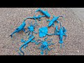 Cleaning Blue Marine Animal Toys, Octopuses, Lobster, Crocodiles, Sharks, Whales, Spiders, Part95