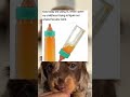This Toy Was the Original "Black Magic" as a Kid 🤯 #memes #funny #pets