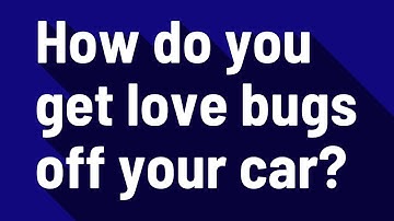 How do you get love bugs off your car?