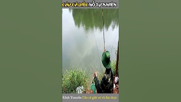 Câu Cá Diếc | Câu Đài Cá Diếc | Câu Cá Giải Trí Và Ẩm Thực #shorts