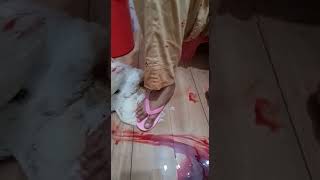 Mrs.ki Chappal Ke Niche Boiler Chicken Zibah Hua