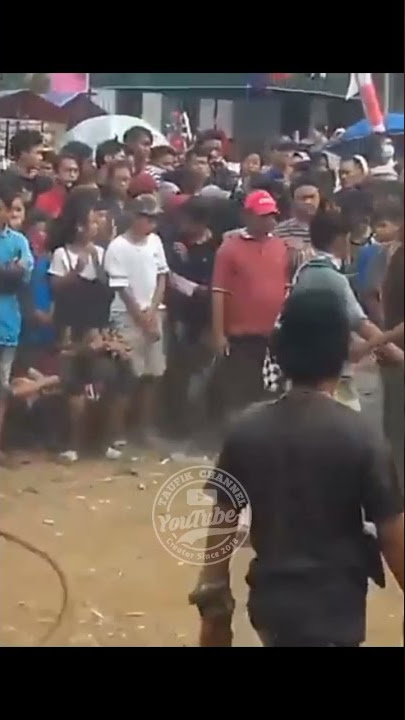 story wa jaranan - perang celeng jaranan reog kridho mudo budoyo,reog kmb, celeng srenggi #shorts