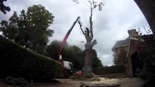 BIG BEECH CRANE JOB