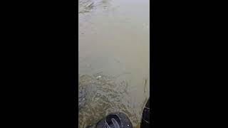 Download Lagu Fishing MP3