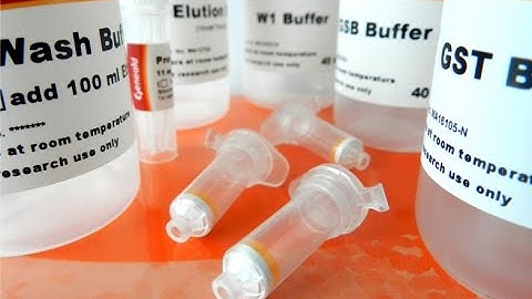 Genomic DNA Extraction Kit Whole Blood