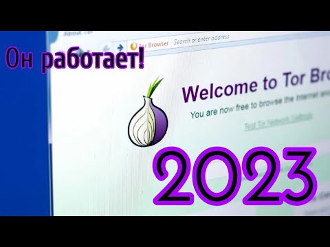 Как подключиться к Tor 2023 | Доступность Tor в РФ