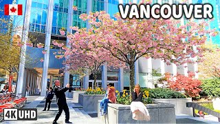 🇨🇦 【4K】☀️🌸 Downtown Vancouver BC, Canada. Cherry Blossom. Amazing sunny day. April 17, 2024.