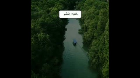 سورة الكوثر بصوت جميل