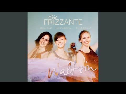 Piano Trio No. 1 in G Major (Arr. For Flute, Cello and Piano) : III. Andante Espressivo