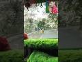 viral #_shorts_#_trending video_100k_#viwes10milionplace _complet