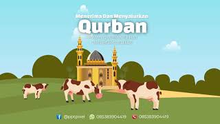 Jualan Sapi Qurban dengan Video Promosi Animasi, Jual Hewan kurban dan Aqiqah 1440 H