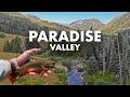 Unreal creek fishing in a pictureperfect mountain valley tenkara fly fishing