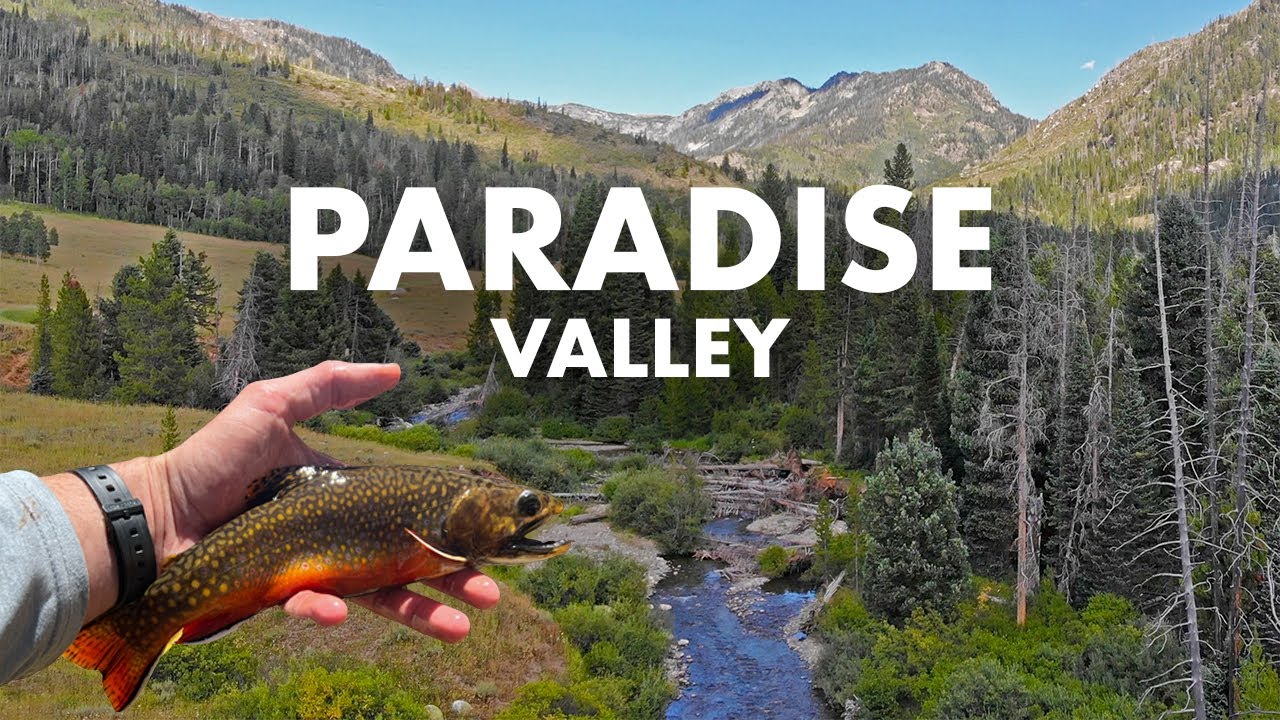 Unreal Creek Fishing in a Picture Perfect Mountain Valley Tenkara Fly Fishing
