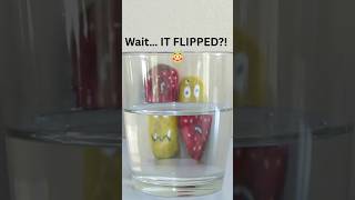 Water Makes It Flip! 😳 Refraction Illusion