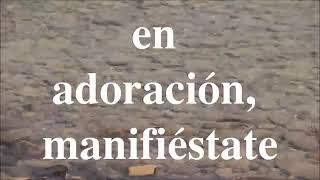 Video thumbnail of "Yo quiero ver tu gloria - Ericson Alexander"