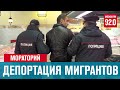 Мораторий на депортацию мигрантов могут продлить - Москва FM