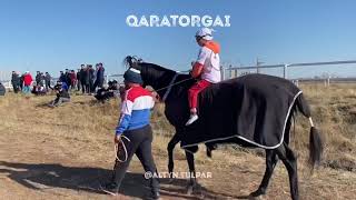 ALTYN TULPAR QARATORGAI