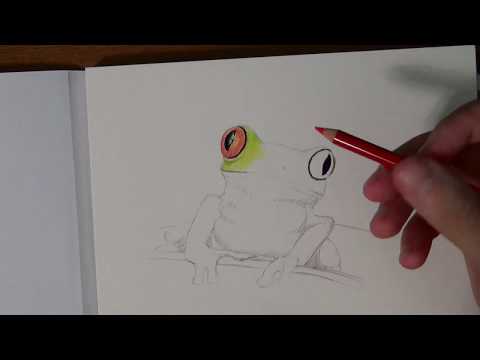 Самые главные техники рисования цветными карандашами