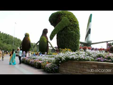 DUBAI MIRACLE GARDEN