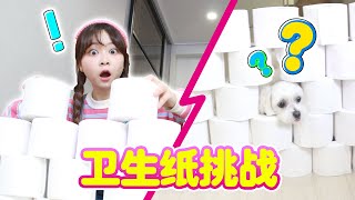 「萌寵日記」 coco的跳躍能力測試！它能成功穿越捲紙牆嗎？ 伶可家族小伶 Lingco Family Xiaoling