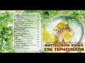 Збірка пісень композитора Надії Галабурди -  Мистецтвом юних сяє Тернопілля.