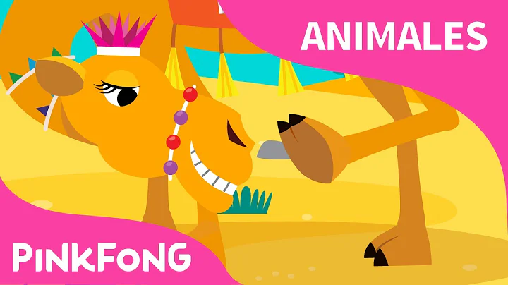 Camellos Jorobados | Camello | Animales | PINKFONG...