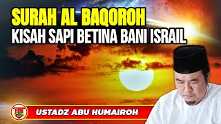 Surah Al Baqoroh Kisah Sapi Betina Bani Israilustadz Abu Humairoh kajianonline744 