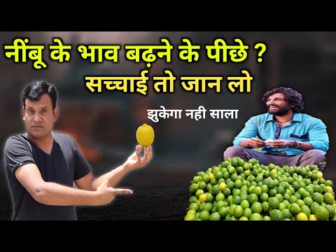 अचानक नींबू महंगा कैसे हो गया? क्या है इसके पीछे की सच्चाई | how lemons got expensive My kisan Dost