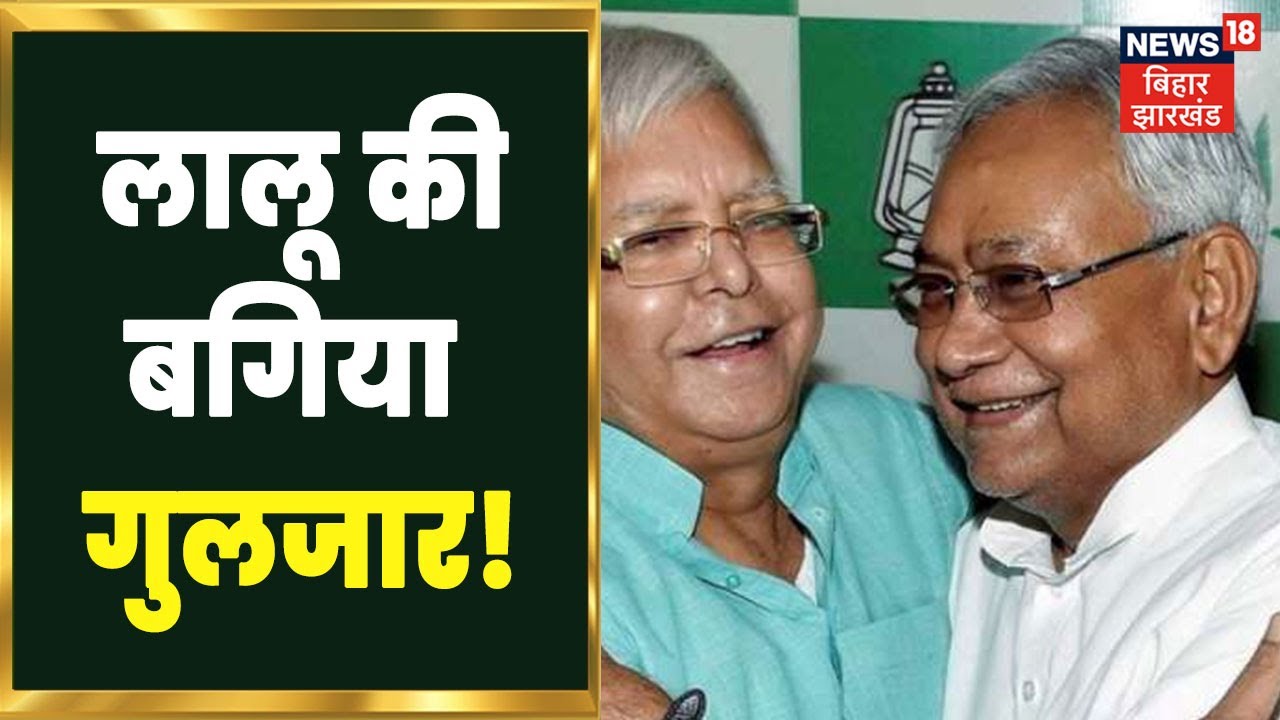 Bihar Political Update: Lalu’s garden Gulzar, Nitish Kumar will become CM… |  NDA Crisis |  Latest News
