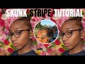 Impulsively doing the Skunk Stripe at home 😁😬 || Plus new intro !!